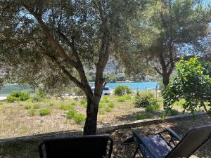 Gallery image of Holiday home Jagoda in Grebaštica