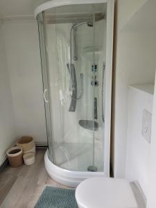 una doccia con una porta in vetro in un bagno di La Maison des Roses a Francorchamps Altre 39 foto