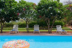 two chairs and a swimming pool with trees at SaffronStays Sanvina Farm, Karjat in Karjat