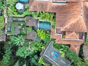nad głową domu z basenem w obiekcie Rumah Kelinci w mieście Ubud