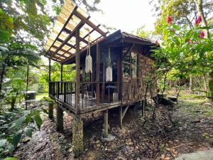 una casa sull'albero in mezzo a una foresta di Ritmo del Rio a San Rafael