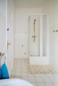 a bathroom with a shower with a glass door at Landhaus Oderbruch in Bad Freienwalde