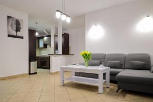 Kuchnia lub aneks kuchenny w obiekcie Dworek Różany Hotel & Restauracja