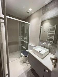 La salle de bains est pourvue de toilettes, d'un lavabo et d'une douche. dans l'établissement Embassy- I1, à Athènes