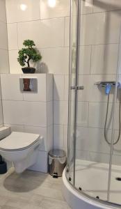 a bathroom with a shower and a toilet and a plant at Syrenka Apartamenty in Ustka