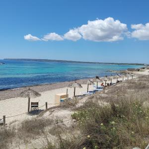 una spiaggia con sedie e ombrelloni e l'oceano di Gorgeous Beach Villla with AC, 300m2 from Playa Mitjorn a Playa Migjorn