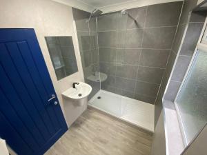 a bathroom with a blue door and a sink and a shower at 3 Room Apartment - Twinsdouble in King's Lynn