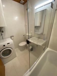 a bathroom with a toilet a sink and a washing machine at Ferienwohnung Gangsteig in Grödig