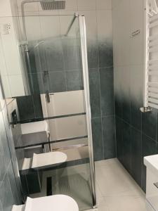 a bathroom with a shower and a toilet and a sink at Apartament Boston Jastrzębia Góra in Jastrzębia Góra