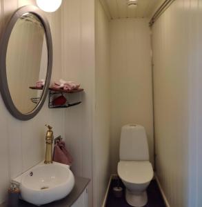 ein Badezimmer mit einem Waschbecken, einem WC und einem Spiegel in der Unterkunft Nice Teachers Apartment In Old School 