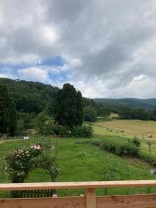 the country house周边自然景观