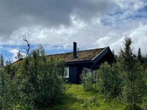 a house sitting on top of a green field at Linnaeus - 6 person cabin in Ål +25 photos
