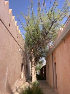 Foto dalla galleria di Al Artaa Resort a Liwa