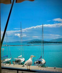 a bird standing on a dock with boats in the water at Marine Apartment with sea & port view! in Volos