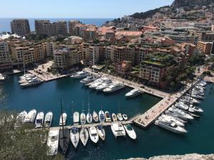 een luchtzicht op een jachthaven met boten in het water bij Bateau Nirvana 7,6 m in Beaulieu-sur-Mer +12 foto's
