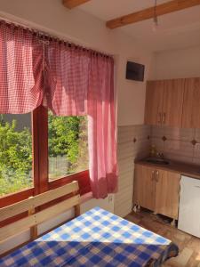 Il comprend une cuisine avec un lit et une grande fenêtre. dans l'établissement Kuca u Vrdniku 2, à Vrdnik