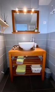 a bathroom with a sink and a mirror at Les gîtes du Canal du midi - Gîte Bois & Cailloux in Montgaillard-Lauragais