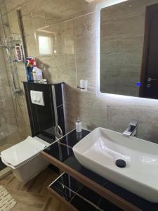 Koupelna v ubytování Apartman Scepanovic + 30 fotografií