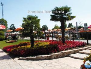 ERMAN HOUSE - Naviglio Riviera del Brenta Venezia في دولو: حديقة يوجد بها الزهور والنخيل في حديقة