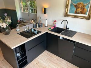 a kitchen with a sink and a counter top at Appartement fliegender Hirsch in Bäk +25 photos