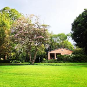 una casa in mezzo a un campo verde di Elvandar Country Cottage a Hilton