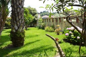 einen Hof mit einer Palme und einem Zaun in der Unterkunft Triskelion in Nunziata