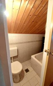 a bathroom with a toilet and a bath tub at Buble Summer House in Rab +15 photos