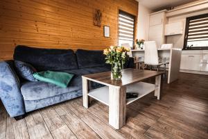 Osada Skoczkowo komfortowe domki z jacuzzi nad jeziorem- sauna- balia- prywatny staw wędkarski的厨房或小厨房