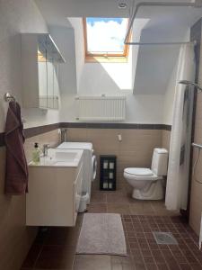 baño con lavabo y aseo y ventana en Skolan i Näsby lägenhet B, en Lövestad