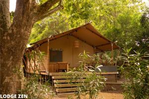 a cabin in the woods with a tree at SUZE LUXE NATURE in Suze-la-Rousse