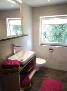 een badkamer met een wastafel, een toilet en een raam bij Erwin's in Bildstein