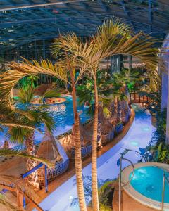 a large indoor pool with palm trees and slides at Hotel Binkowski in Kielce