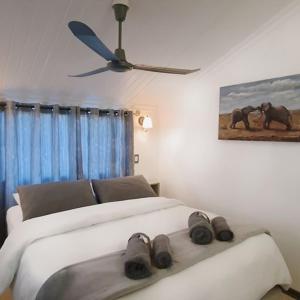 a bedroom with a bed with a ceiling fan at Cosy Corner in Kampersrus AH
