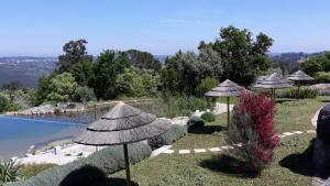 a resort with a pool and umbrellas next to at Quinta Vale Porcacho in Tábua