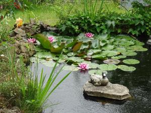 a pond with lilies and a duck sitting on a rock at La Clef De Voute Amethyste 