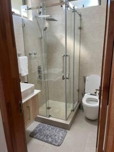 a bathroom with a glass shower and a toilet at Pearl Gate Residence Apt No 3 in Flic-en-Flac