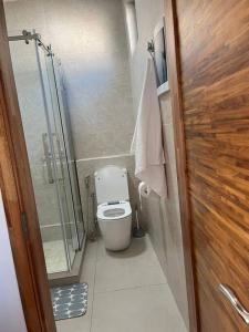 a small bathroom with a toilet and a shower at Pearl Gate Residence Apt No 3 in Flic-en-Flac