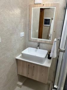 ein Badezimmer mit einem weißen Waschbecken und einem Spiegel in der Unterkunft Pearl Gate Residence Apt No 3 in Flic-en-Flac