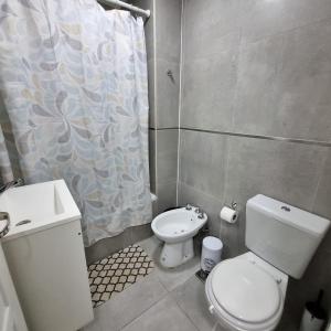 a bathroom with a toilet and a sink and a shower curtain at Happy Guest Apart 53 in Ushuaia