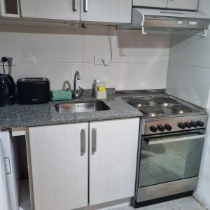 a kitchen with a sink and a stove at Happy Guest Apart 53 in Ushuaia