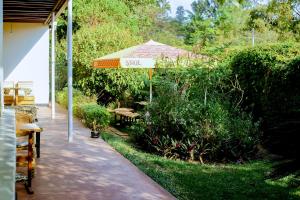 eine Terrasse mit einem Sonnenschirm, Bänken und Büschen in der Unterkunft INZOZI AFRICA HOUSE B&B-Kimihurura in Kigali