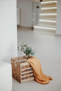 a potted plant in a wicker basket with a towel at Villa Escape 21 in Durrës