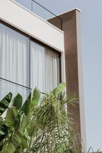 a house with a plant in front of a window at Villa Escape 21 in Durrës