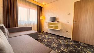 a living room with a couch and a television at Hotel Tolea in Târgovişte