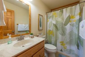 a bathroom with a sink and a toilet and a shower curtain at Firefly Cabin! Hot Tub, Sauna, near Ski Resort in Swiss