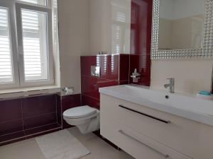 a bathroom with a toilet and a sink and a mirror at App OLIVE Old Town in Poreč +14 photos