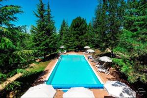 古比奥Agriturismo Akasha的带遮阳伞和椅子的游泳池的俯视图