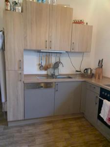 a kitchen with wooden cabinets and a sink at Cozy private rooms & apartments in Kahl am Main