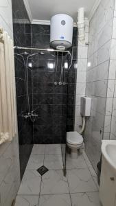 a bathroom with a shower and a toilet and a sink at Lungro's Main Square Apartment in Skopje