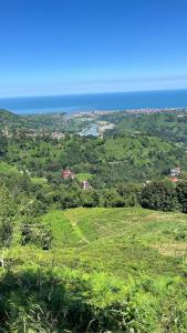 a view of a green field with the ocean in the background at Elit Bungalov in Ardeşen